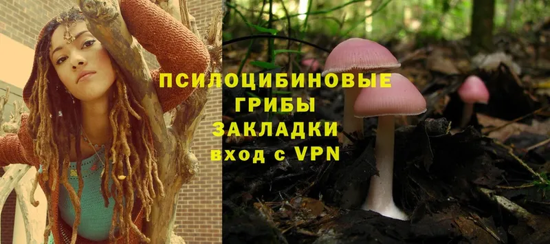 купить  сайты  Нарткала  Псилоцибиновые грибы MAGIC MUSHROOMS 