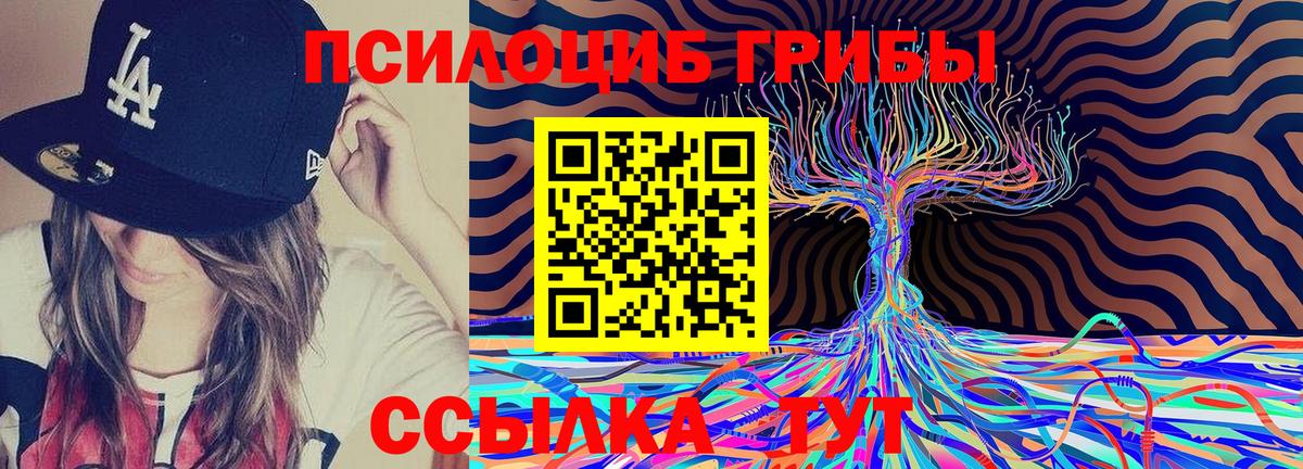 Галлюциногенные грибы GOLDEN TEACHER  Вход с VPN  Нарткала  Псилоцибиновые грибы Magic Shrooms 